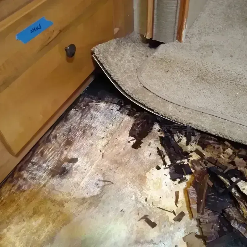 Best Wood Floor Water Damage Service in Dayton, OR